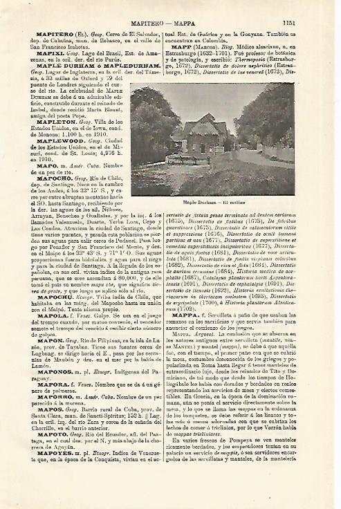 LAMINA ESPASA 18708: Molino de Maple Durham