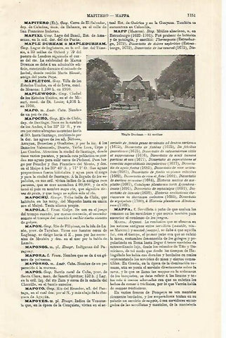 LAMINA ESPASA 18708: Molino de Maple Durham