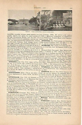 LAMINA ESPASA 18802: Ayuntamiento de Epernon Francia