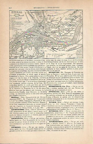 LAMINA ESPASA 18810: Plano de Epinal Francia