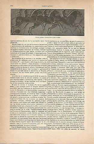 LAMINA ESPASA 18817: Jinetes griegos