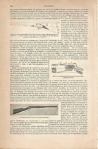 LAMINA ESPASA 18891: Culatas de escopeta