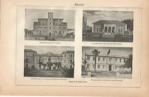 LAMINA ESPASA 18947: Escuelas de Agricultura en Valencia Jerez de la Frontera Figueres y Tenerife