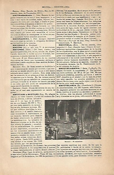LAMINA ESPASA 18967: Cementerio de Escutari Albania