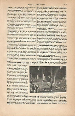 LAMINA ESPASA 18967: Cementerio de Escutari Albania