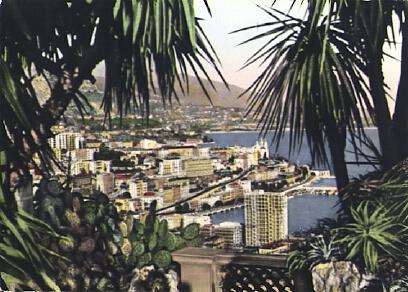POSTAL 56864: Principaute de Monaco Monte-Carlo le Casino vus des Jardins Exotiques