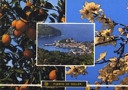 POSTAL 56876: Puerto de Soller Naranjos y flor de Almendro Mallorca