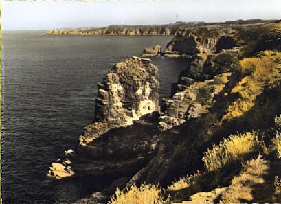 POSTAL 56921: Cap Frehel La Fauconniere Les Falaises dans le fond Fort Lalatte