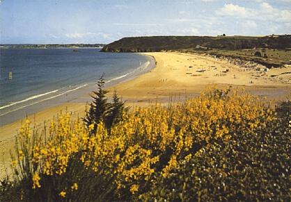 POSTAL 56930: St Cast (Cotes du Nord) Plage de Pen-Guen et pointe du Bay