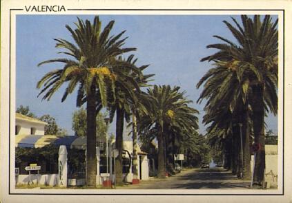POSTAL 56962: Valencia Playa de las Palmeras