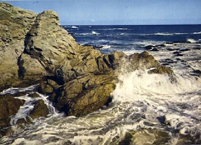POSTAL 56969: Rien n est plus beau plus sauvage grandiose triste…