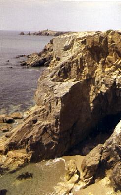 POSTAL 57076: La cote sauvage
