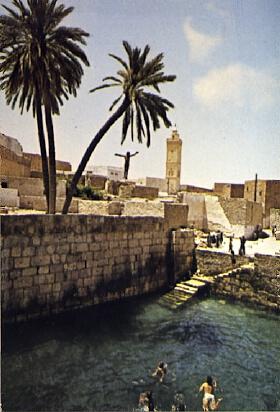 POSTAL 57077: Gafsa – La piscine romaine