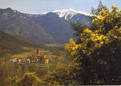 POSTAL 57094: Pres de Prades l Abbaye de St Michel de Cuxa Vue generale avec le Canigou