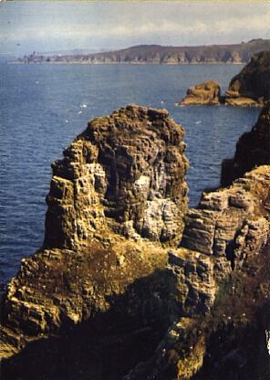 POSTAL 57123: Cap-Frehel Rocher de la Petite Fauconniere