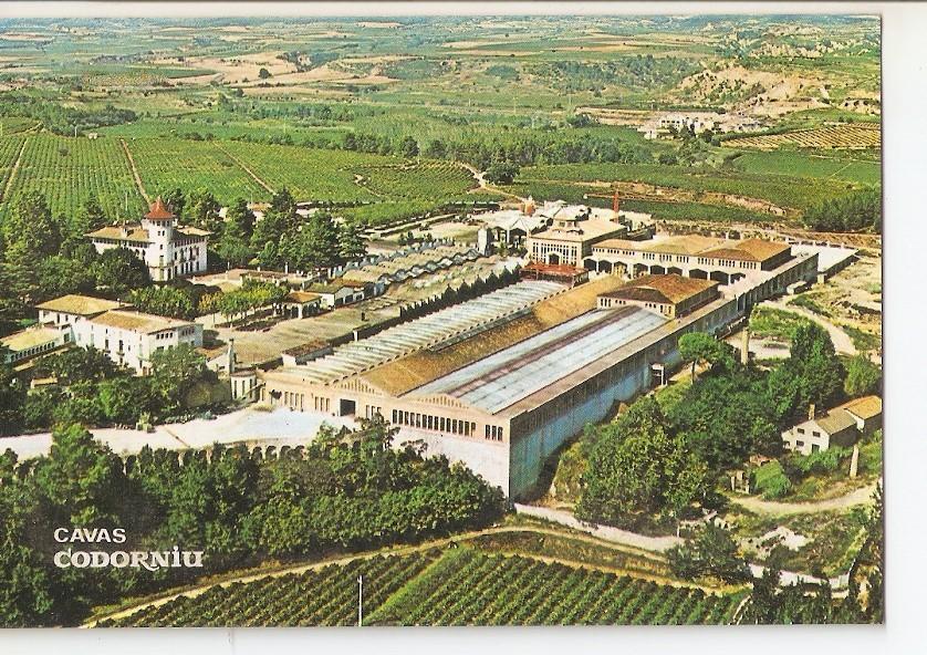 Postal 033972 : Cavas Codorniu. Exteriores