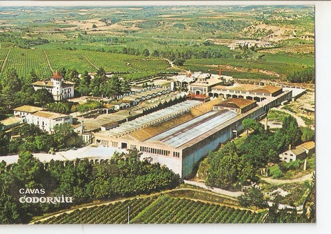 Postal 033972 : Cavas Codorniu. Exteriores