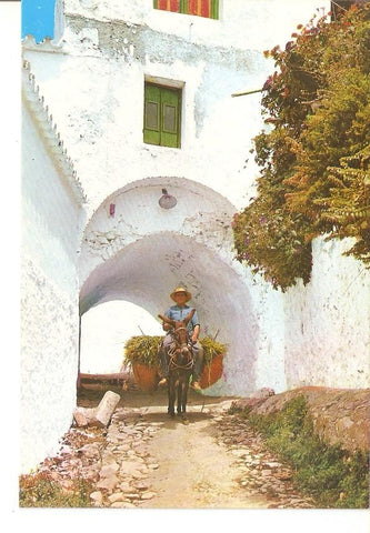 Postal 035345 : Costa del Sol - Mijas. Pasaje tipico
