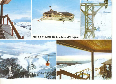 Postal 037112 : Super Molina. Niu daliga
