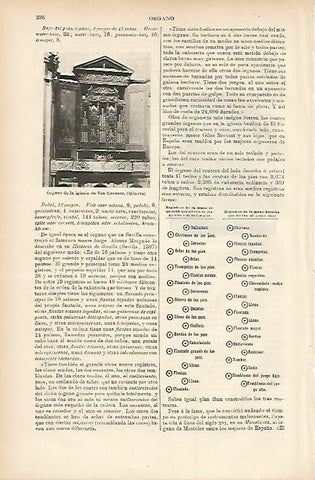 LAMINA ESPASA 7601: Organo de la iglesia de San Lorenzo Genova