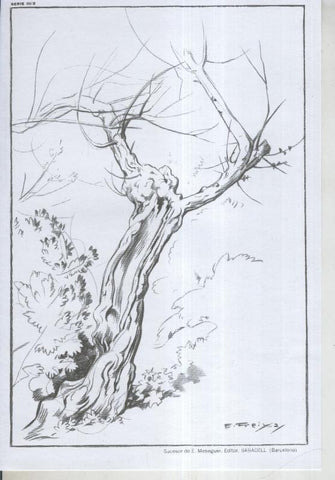 Emilio Freixas serie 03 lamina 02
