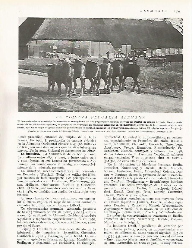 LAMINA 3170: ALEMANIA. Caballos de tiro en Schleswig-Holstein