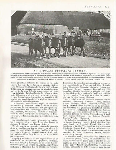 LAMINA 3170: ALEMANIA. Caballos de tiro en Schleswig-Holstein