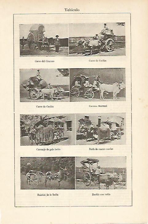 LAMINA ESPASA 5938: Tipos de carro