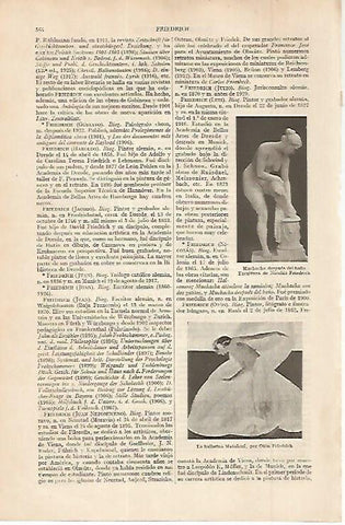 LAMINA ESPASA 11341: Obras de N. Friedrich y Oton Friedrich
