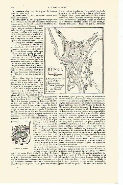 LAMINA ESPASA 13665: Plano y escudo de Ripoll Barcelona