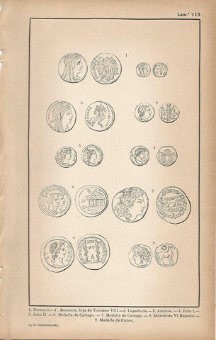 Lamina 113: Numismatica helenistica