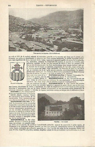 LAMINA ESPASA 16276: Vista y escudo de Esporlas Mallorca