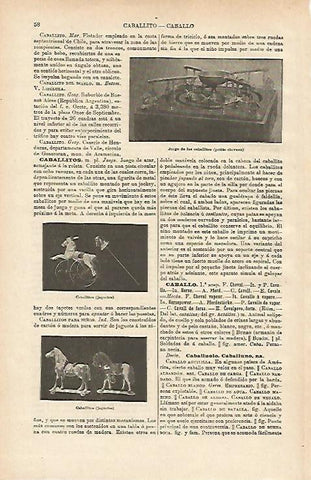 LAMINA ESPASA 14572: Juego de los caballitos