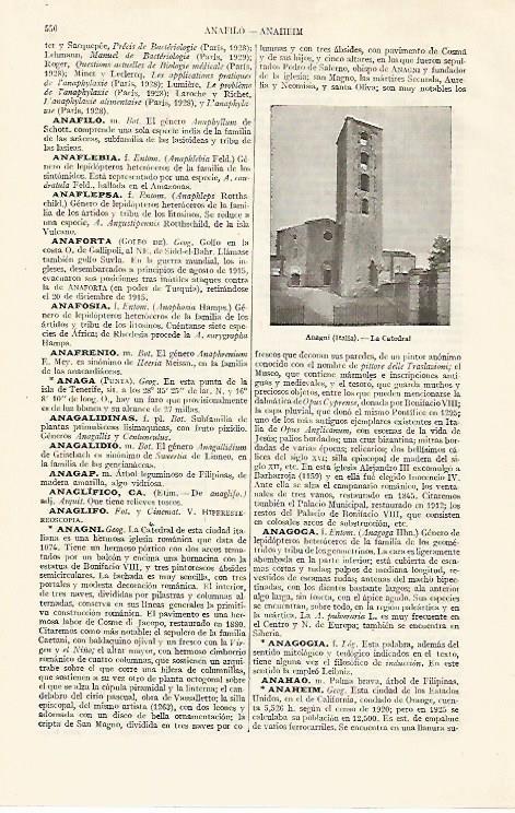 LAMINA ESPASA 19049: Catedral de Anagni Italia