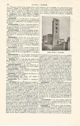 LAMINA ESPASA 19049: Catedral de Anagni Italia