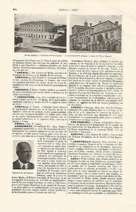 LAMINA ESPASA 19081: Vistas de Arona Italia