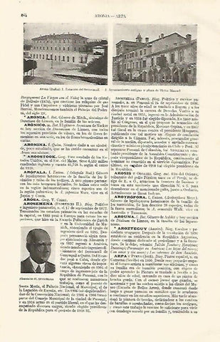 LAMINA ESPASA 19081: Vistas de Arona Italia