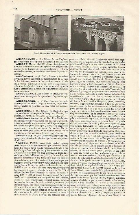 LAMINA ESPASA 19086: Vistas de Ascoli Piceno Italia