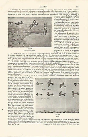 LAMINA ESPASA 19119: Viraje sobre el ala