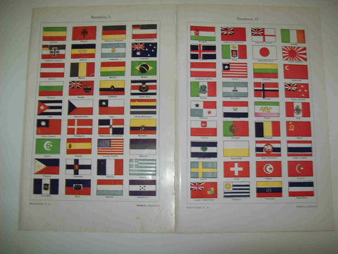 LAMINA ESPASA 19142: Banderas del mundo