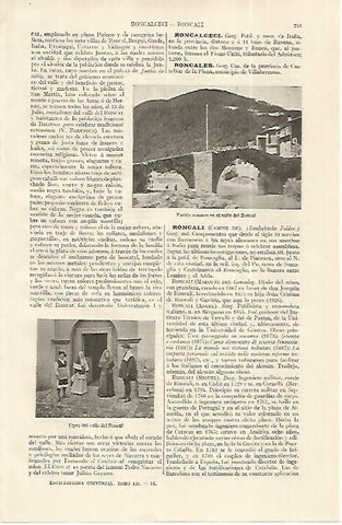 LAMINA ESPASA 19226: Puente romano en el valle del Roncal