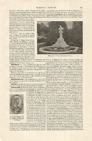 LAMINA ESPASA 19238: Monumento a Ronsard en Tours