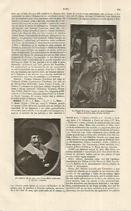 LAMINA ESPASA 19246: El hombre de la rosa por Hals