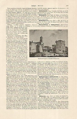 LAMINA ESPASA 19262: Castillo de Lagnara