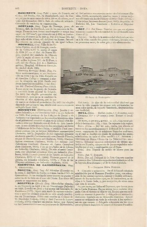 LAMINA ESPASA 19275: Fuerte de Rostrogordo
