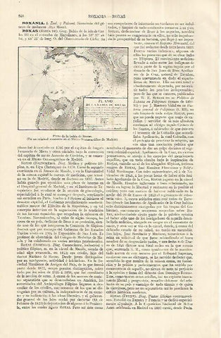 LAMINA ESPASA 19295: Plano de la Bahia de Roxas