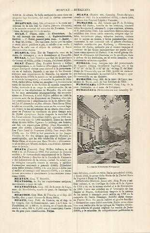 LAMINA ESPASA 19304: La cruz de Rubalcava