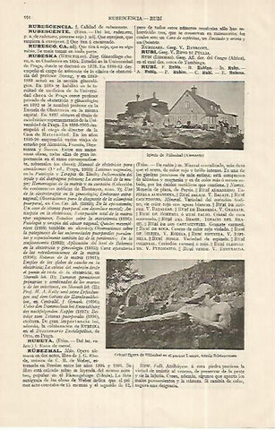 LAMINA ESPASA 19312: Iglesia de Rubezhal Alemania