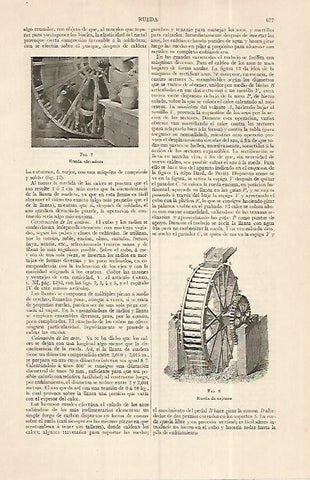 LAMINA ESPASA 19325:  Rueda elevadora