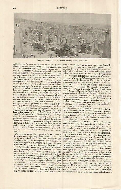 LAMINA ESPASA 19345: Graushor Rumania